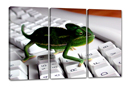 LIZZARD ON KEYBOARD